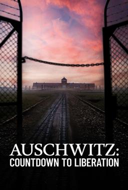 奥斯维辛：解放倒计时