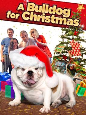 圣诞节的斗牛犬