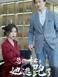 总裁，秘书她逃跑了