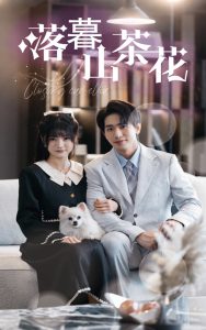 渣爹总想和我抢妈咪