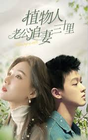 植物人老公追妻三十里