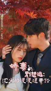 娇妻别想逃沈少的漫漫追妻路