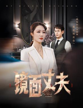 镜面丈夫