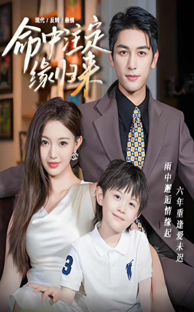 命中注定缘归来