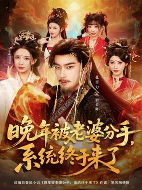 晚年被老婆分手，系统终于来了