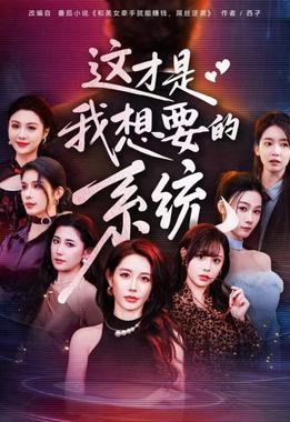 这才是我想要的系统