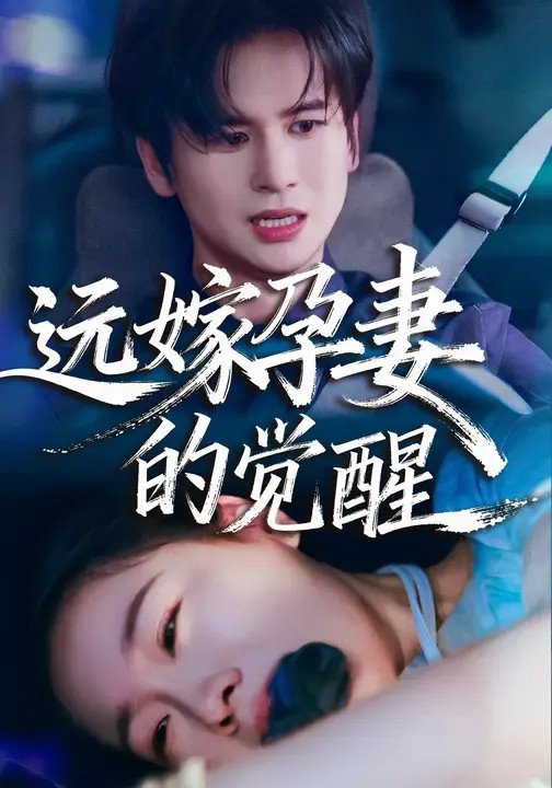 远嫁孕妻的觉醒.