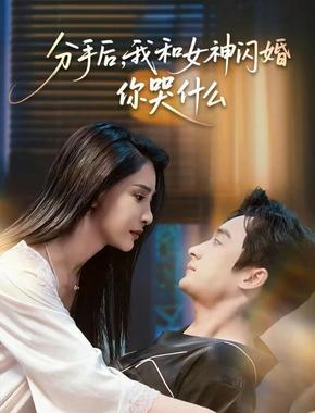 分手后,我和女神闪婚你哭什么(悲欢离合总无情)