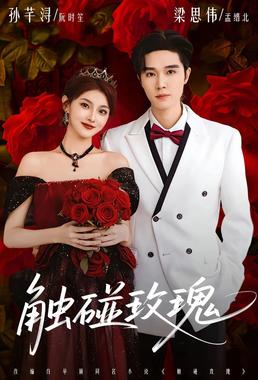 触碰玫瑰（凌晨四点半）玫瑰花未眠