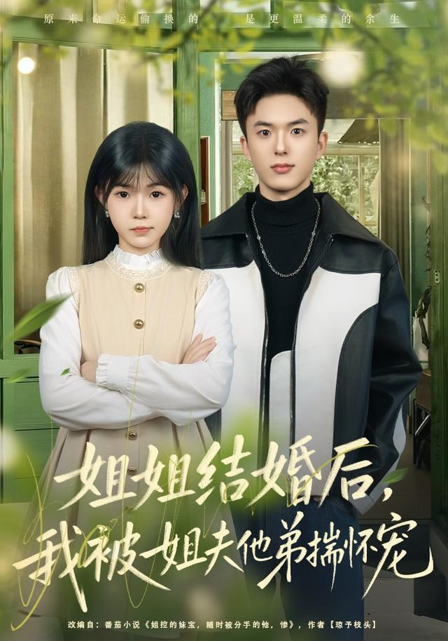 姐姐结婚后,我被姐夫他弟揣怀宠