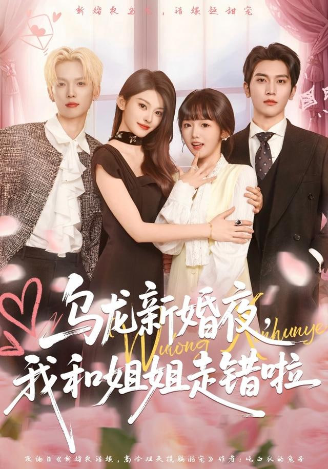 乌龙新婚夜,我和姐姐走错啦