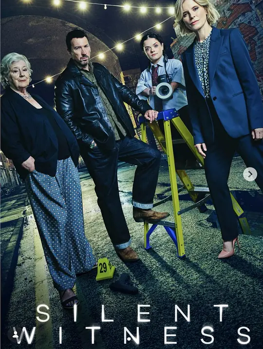 无声的证言 第二十九季