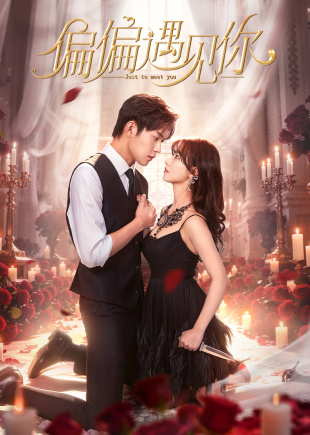 偏偏遇见你